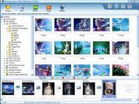 Flash-SlideShow-Builder